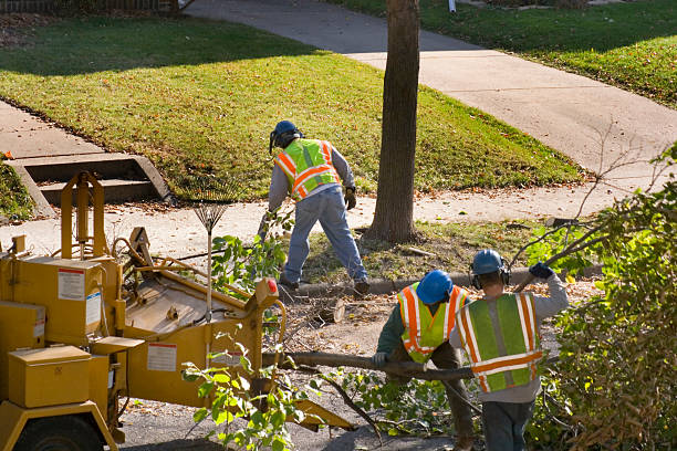 Best Leaf Removal  in Loudonville, OH